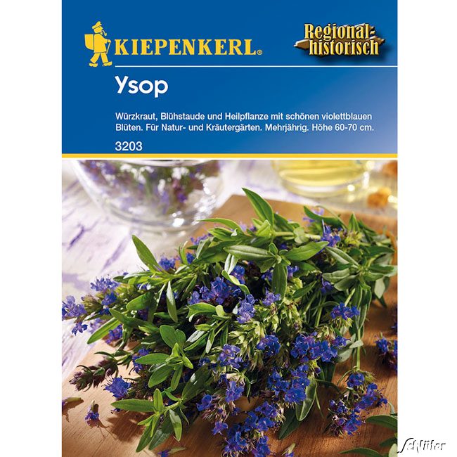 Ysop - Würzkraut Lieferform: Portionssaatgut von Kiepenkerl