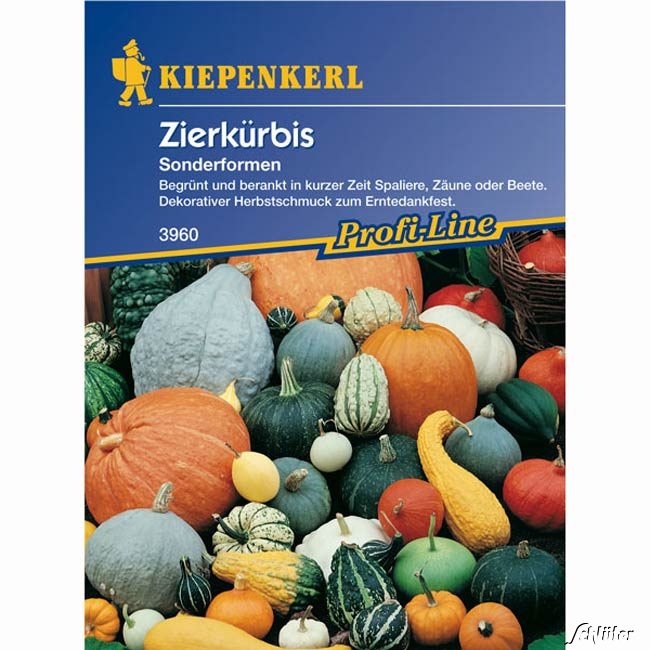 Zierkürbis &#039;Sonderformen-Mischung&#039; Lieferform: Portionssaatgut von Kiepenkerl