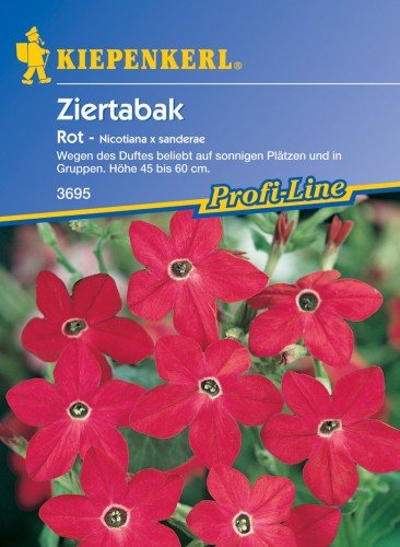 Ziertabak, rot von Kiepenkerl