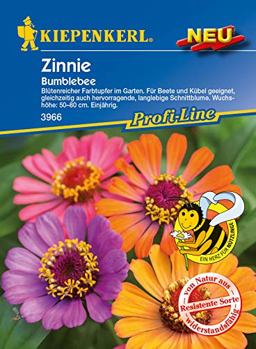 Kiepenkerl Zinnie 'Bumblebee',1 Portion von Kiepenkerl