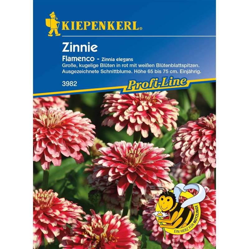 Zinnie &#039;Flamenco&#039; Lieferform: Portionssaatgut von Kiepenkerl