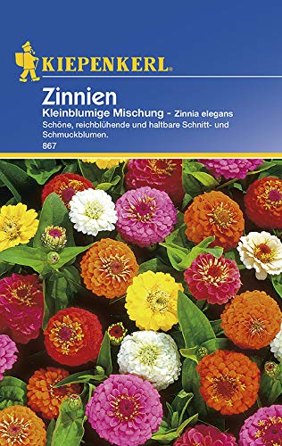 Zinnien Kleinblumige Mischung von Kiepenkerl von Kiepenkerl