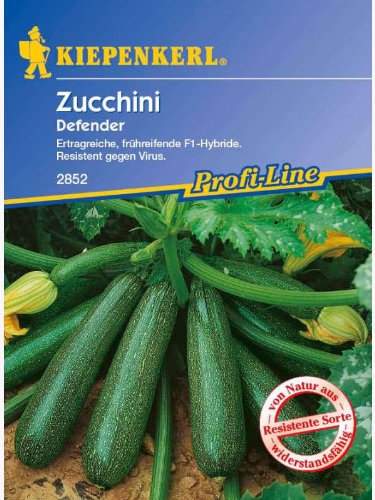 Zucchini Defender grün resistent von Kiepenkerl