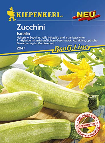 Zucchini Ismalia | Zuchinisamen von Kiepenkerl von Kiepenkerl