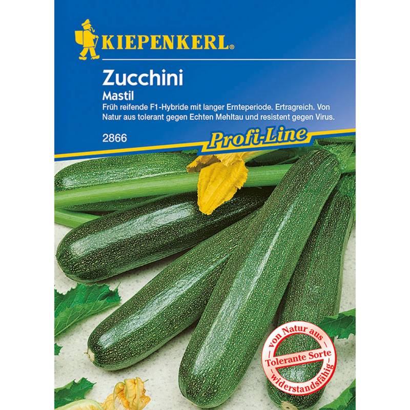 Zucchini &#039;Mastil&#039; Lieferform: Portionssaatgut von Kiepenkerl