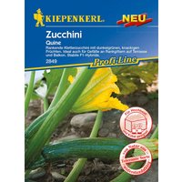 Zucchini Quine Cucurbita pepo, Inhalt 6 Korn Gemüsesamen - Kiepenkerl Zucchini Quine Cucurbita pepo, Inhalt 6 Korn Gemüsesamen - Kiepenkerl von Kiepenkerl