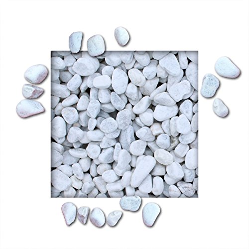 KiesKönig 25 kg Marmorkies Carrara Weiss Verschiedene Körnungen direkt 25/40 mm von Kieskönig