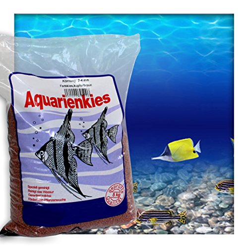 Farbkies Kupferbraun Aquarium Deko Kies Aquariengrund Aquariumkies Bodengrund Körnung 2-4 mm 5 kg (1x 5 kg Beutel) von Kieskönig