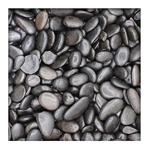 Kieskönig Schwarzer Glanzkies Zierkies Flusskiesel River Pebbles Gartenkies 10/20 10 kg von Kieskönig