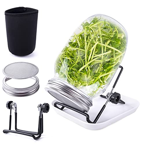 Seed Sprouting Jar Kit with 1 Wide Mouth Mason Jars Bean Sprouts Growing Kit Microgreens Growing Jar with Mesh Screen Lids Sprouter Sprouts Maker for Growing Broccoli, Alfalfa, Mung Bean von Kikerike