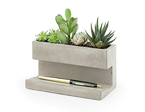 Kikkerland PL02-L Pflanzentopf aus Beton für am Schreibtisch, Go Green im Büro, hält Stifte und Visitenkarten, größe 16,3x9,1x8 cm. von Kikkerland