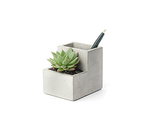 Kikkerland Pflanzentopf aus Beton für den Schreibtisch, Go Green ins Büro, zum Aufbewahrenvon Stiften und Visitenkarten, größe, 9,6x9x8,1 cm., small, Größe S, PL02-S von Kikkerland