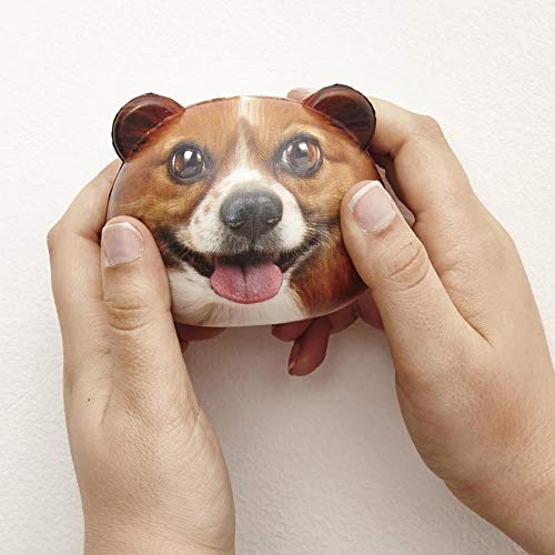 Maia Gifts Feeling Ruff Dog Stress Ball - Assorted Designs - 1 provided von Kikkerland