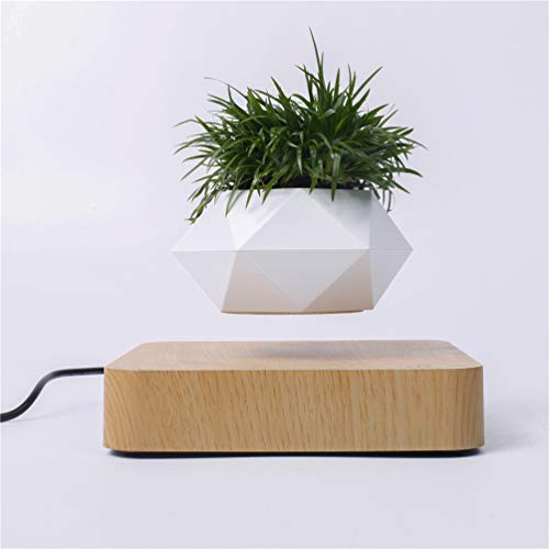 Kiko-ershaa Levitating Plant Pot Floating Air Bonsai Pot Suspension Flower Pot Planter for Desk Decoration von Kiko-ershaa