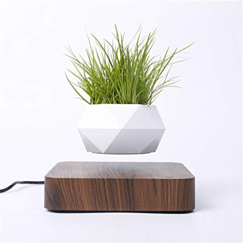 Kiko-ershaa Levitating Plant Pot Floating Air Bonsai Pot Suspension Flower Pot Planter for Desk Decoration von Kiko-ershaa