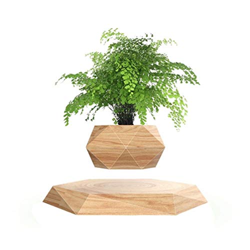 Kiko-ershaa Levitating Plant Pot Floating Air Bonsai Pot Suspension Flower Pot Planter for Desk Decoration von Kiko-ershaa