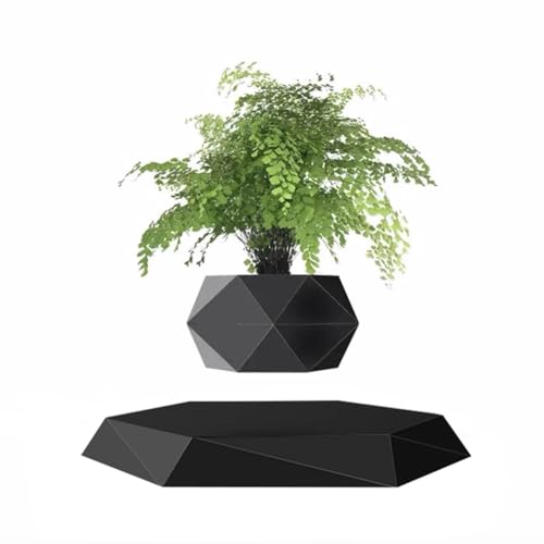 Kiko-ershaa Levitating Plant Pot Floating Air Bonsai Pot Suspension Flower Pot Planter for Desk Decoration von Kiko-ershaa