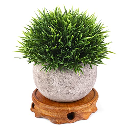 Kikumi Holz Teekannen Dekorative Teetassen -Kissen -Teekannen Holzbasis (Lupingsan Innerdurchmesser 9 Höhe 2,5 cm) von Kikumi