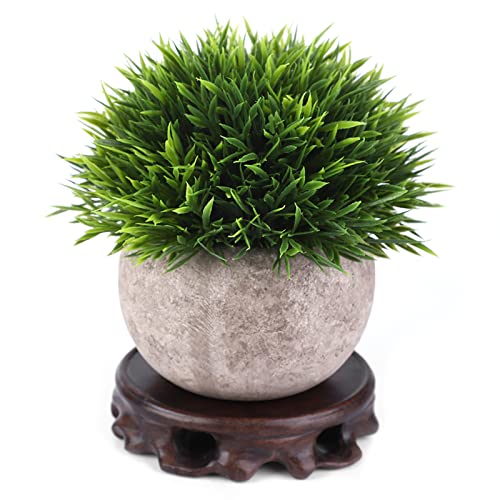 Kikumi Holz Teekannen Dekorative Teetassen -Kissen -Teekannen Holzbasis (Schwarzer Zitrin Innendurchmesser 9 Höhe 2,5 cm) von Kikumi