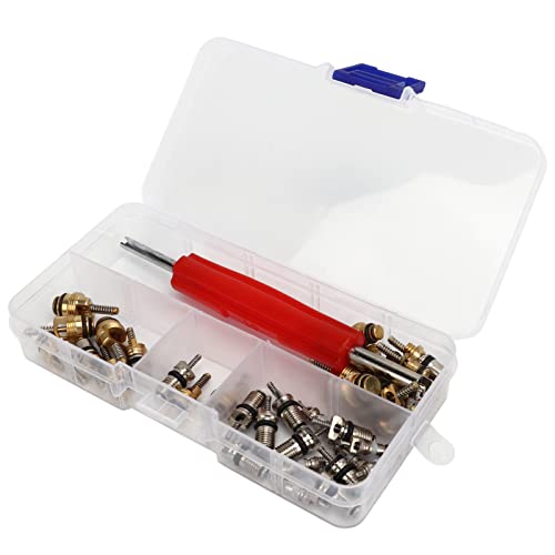 Kikumi Set von 41 Wechselstrom -Master -Ventil Kit mit Remover Tool R12 R134A Automobilkühlventil für die Meisten Autos von Kikumi