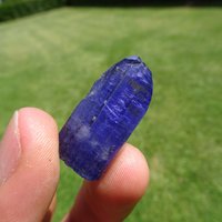 Rough Tansanit 10.88 Gram Crystal, Mirerani Hills Tansania von KilimanjaroGemstones