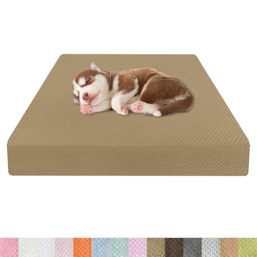 Kimgull Orthopädisches Hundebett Ananasstoff Hundematte 35D Schwamm Hundesofa Dog Bed rutschfest und Komfortabel Hundecouch Grosse Hunde mittelgroße Kleine 55x30x15cm Farbe34 Hellbraun Kimgull Orthopädisches Hundebett Ananasstoff Hundematte 35D Schwamm Hundesofa Dog Bed rutschfest und Komfortabel Hundecouch Grosse Hunde mittelgroße Kleine 55x30x15cm Farbe34 Hellbraun von Kimgull