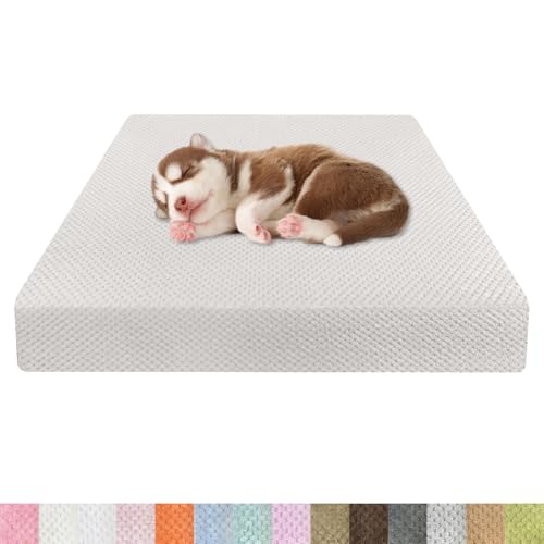 Kimgull Orthopädisches Hundebett Ananasstoff Hundematte 35D Schwamm Hundesofa Dog Bed rutschfest und Komfortabel Hundecouch Grosse Hunde mittelgroße Kleine 70x40x6cm Farbe25 Cremefarben Kimgull Orthopädisches Hundebett Ananasstoff Hundematte 35D Schwamm Hundesofa Dog Bed rutschfest und Komfortabel Hundecouch Grosse Hunde mittelgroße Kleine 70x40x6cm Farbe25 Cremefarben von Kimgull