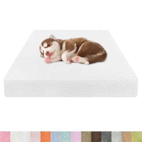 Kimgull Orthopädisches Hundebett Ananasstoff Hundematte 35D Schwamm Hundesofa Dog Bed rutschfest und Komfortabel Hundecouch Grosse Hunde mittelgroße Kleine 75x55x15cm Farbe26 Weiß Kimgull Orthopädisches Hundebett Ananasstoff Hundematte 35D Schwamm Hundesofa Dog Bed rutschfest und Komfortabel Hundecouch Grosse Hunde mittelgroße Kleine 75x55x15cm Farbe26 Weiß von Kimgull