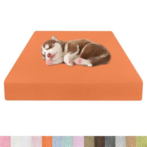 Kimgull Orthopädisches Hundebett Ananasstoff Hundematte 35D Schwamm Hundesofa Dog Bed rutschfest und Komfortabel Hundecouch Grosse Hunde mittelgroße Kleine 80x55x15cm Farbe29 Orange Kimgull Orthopädisches Hundebett Ananasstoff Hundematte 35D Schwamm Hundesofa Dog Bed rutschfest und Komfortabel Hundecouch Grosse Hunde mittelgroße Kleine 80x55x15cm Farbe29 Orange von Kimgull