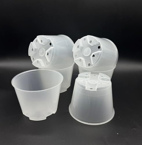 6 Stück Pflanztopf, Orchideentopf, 11 cm im Duchmesser, tranaparent, im Set von Kimmel