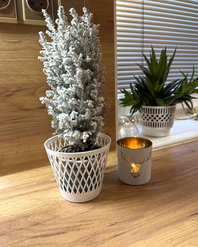 Kimmel Übertopf Gittermuster 12 cm weiß 3 Stück Grünpflanzen Zimmerpflanzen Orchideentopf Blumentopf Pflanztopf Dekotopf Kimmel Übertopf Gittermuster 12 cm weiß 3 Stück Grünpflanzen Zimmerpflanzen Orchideentopf Blumentopf Pflanztopf Dekotopf von Kimmel