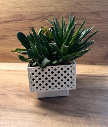 Kimmel Übertopf eckig 11 cm weiß 2er Set Blumenübertopf Orchideentopf Pflanztopf Blumentopf Deko Topf Kimmel Übertopf eckig 11 cm weiß 2er Set Blumenübertopf Orchideentopf Pflanztopf Blumentopf Deko Topf von Kimmel