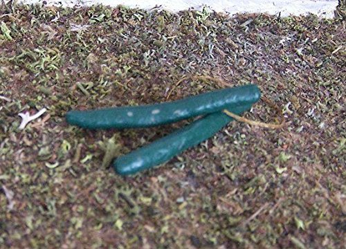 2 St. Mini-Gurken aus Polyresin. 4 cm. Für Krippe oder Puppenhaus. W518 von Kimmerle