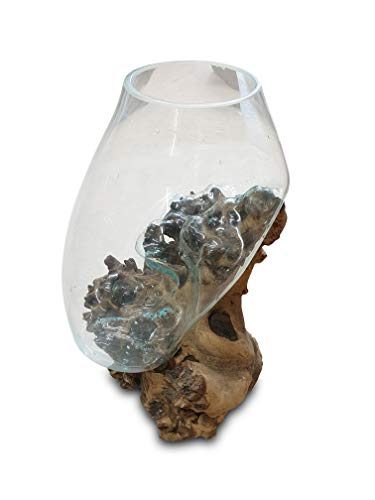 Geschmolzenes Glas auf Wurzelholz - Glasschale auf Wurzel - Teak Holz mit Glasvase oder Schale (Glas 40-50 x 35 cm) von Kinaree