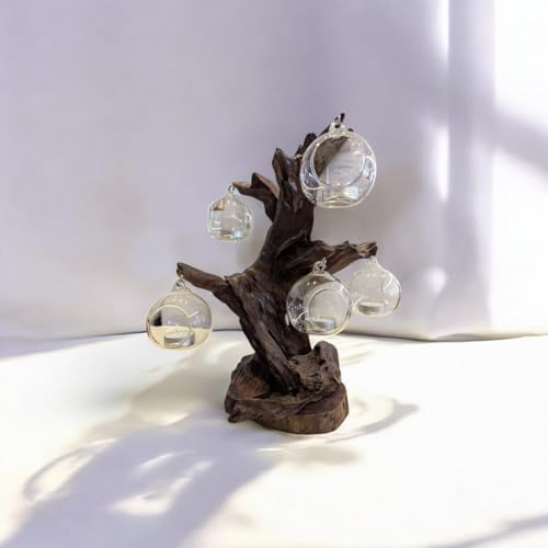 Kerzenständer Wurzel Baum - 2 oder 3 Lichter Teelichthalter - inkl. Glas und Kerze - (5 Lichter) von Kinaree