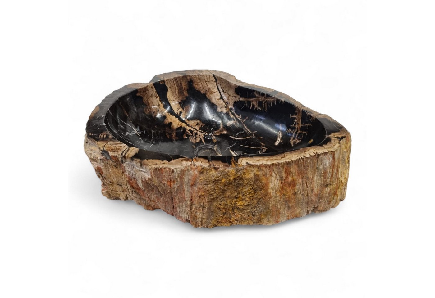 Kinaree Aufsatzwaschbecken Versteinertes Holz Waschbecken #35 Kinaree Aufsatzwaschbecken Versteinertes Holz Waschbecken #35 von Kinaree