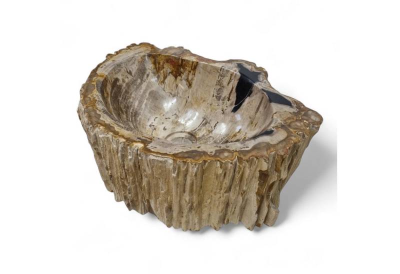 Kinaree Aufsatzwaschbecken Waschbecken Versteinertes Holz #26, Naturstein, versteinertes Holz, Rund, beige, Bruchstein Optik Kinaree Aufsatzwaschbecken Waschbecken Versteinertes Holz #26, Naturstein, versteinertes Holz, Rund, beige, Bruchstein Optik von Kinaree