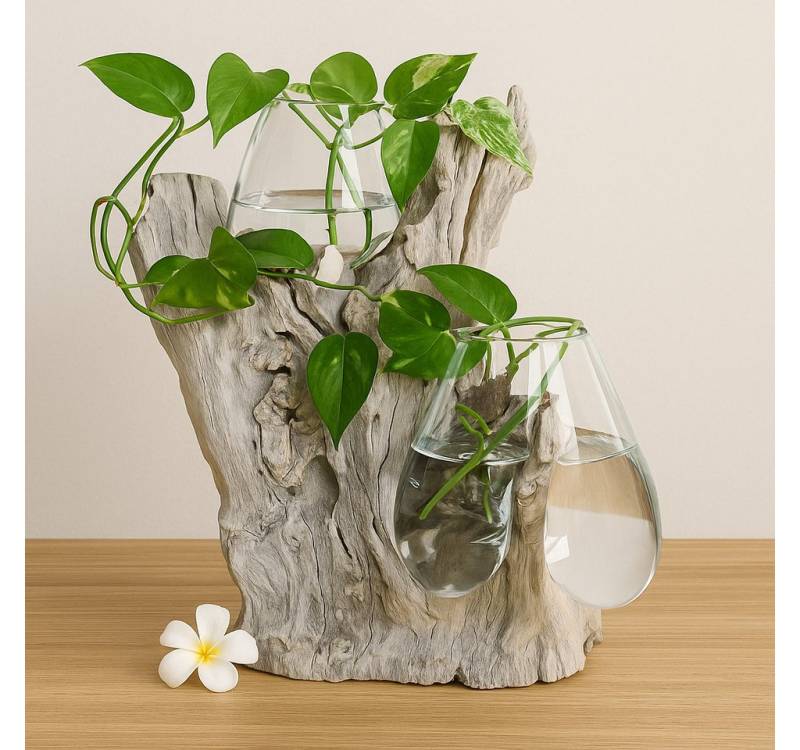 Kinaree Dekovase Geschmolzenes Glas auf Wurzelholz 2 Gläser (2 St), Mundgeblasene Gläser, Naturprodukt, Blumengefäß von Kinaree