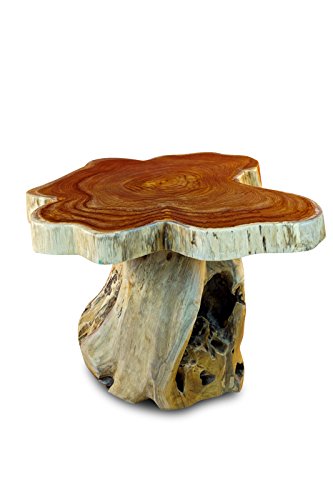 Holz Beistelltisch mit Baumscheibe ALOR Setar mit Ø ca. 60cm - Kleiner Wurzelholz Couchtisch aus massivem Teak in rustikaler Optik mit Tischplatte aus Wurzel Baumscheibe (50 x 55-60 cm) von Kinaree
