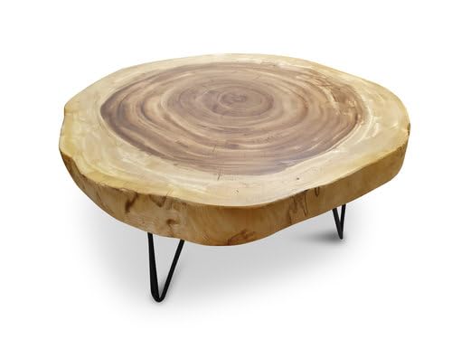 Suar Holz Couchtisch LAEM PHO II - 45cm hoher Wohnzimmertisch - in 2 Größen ca 60-85 cm Baumscheibe als Tischplatte aus massiver Akazie in rustikaler Optik (Ø 70-85 cm) von Kinaree