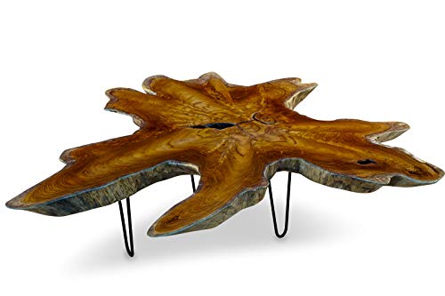 Teak Couchtisch LUHU - 100x120cm Tischplatte aus massiver Wurzelholz Baumscheibe im rustikalen Landhausstil, geeignet für Wohnzimmer, Wintergarten oder als Kaffeetisch von Kinaree