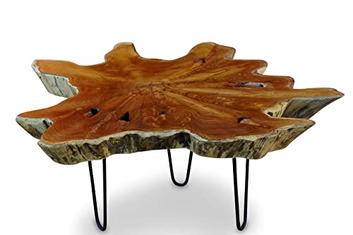 Teak Couchtisch LUHU - ca. 70-80cm Tischplatte aus massiver Wurzelholz Baumscheibe im rustikalen Landhausstil, geeignet für Wohnzimmer, Wintergarten oder als Kaffeetisch Natur von Kinaree