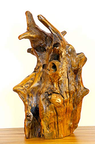 Teak Wurzelholz Skulptur 60 cm – Handgefertigte Naturholz-Skulptur aus Indonesien – Unikat aus Massivholz zur Dekoration im Wohnzimmer, Flur oder Wintergarten von Kinaree