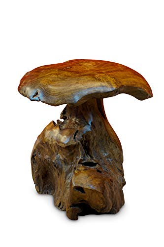 Kinaree Wurzelholz Skulptur Pilz klein - 40 cm Teak Holz Pilz - Dekoration für Garten Terrasse und Wohnzimmer von Kinaree