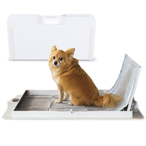 KindTail Pee PAWD – hält Standard-Töpfchenunterlagen 61 x 61 cm – auslaufsicheres Tablett mit rutschfester Unterseite, 3,8 cm erhöhtem Rand und modularem Seitenteil – leicht zu reinigender Kunststoff KindTail Pee PAWD – hält Standard-Töpfchenunterlagen 61 x 61 cm – auslaufsicheres Tablett mit rutschfester Unterseite, 3,8 cm erhöhtem Rand und modularem Seitenteil – leicht zu reinigender Kunststoff von KindTail