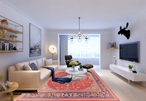 Teppich Wohnzimmer Rosa Blau50x80cm Fußmatte Waschbar Wind und Regenschutz Mit Rutschschutz Türmatte Wasserabsorbierend Modern Ultraweich Puffy von Kinde