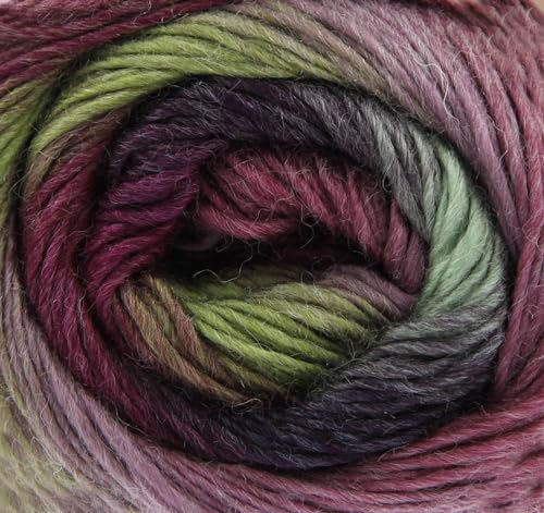 King Cole Riot DK 100 g – 409 Funky von King Cole