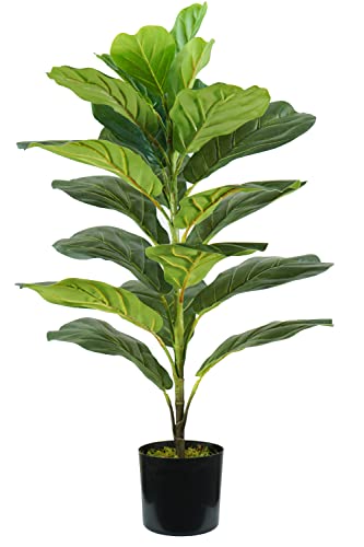 King Collection Ficus Lyrata H. 75 cm 21 Blatt von King Collection