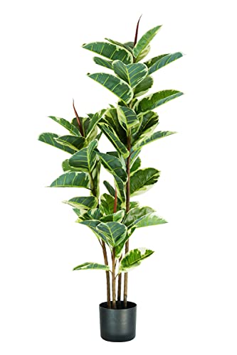 King Collection Pflanze, Ficus, elastisch, Höhe: 145 cm, 54 Blätter von King Collection