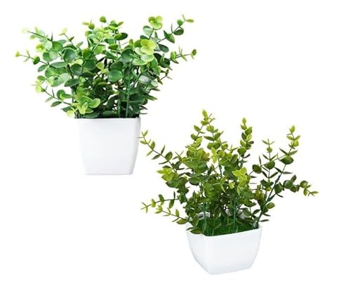 King Home Künstliche Pflanzen Set 2 Stück in transparenter Box aus Acetat King Home Künstliche Pflanzen Set 2 Stück in transparenter Box aus Acetat von King Collection